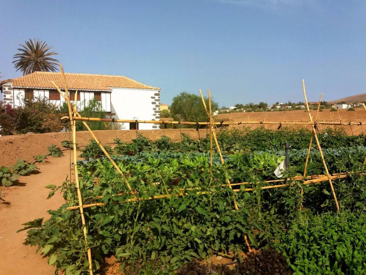Rural Rugama Vila Puerto del Rosario  Exterior foto