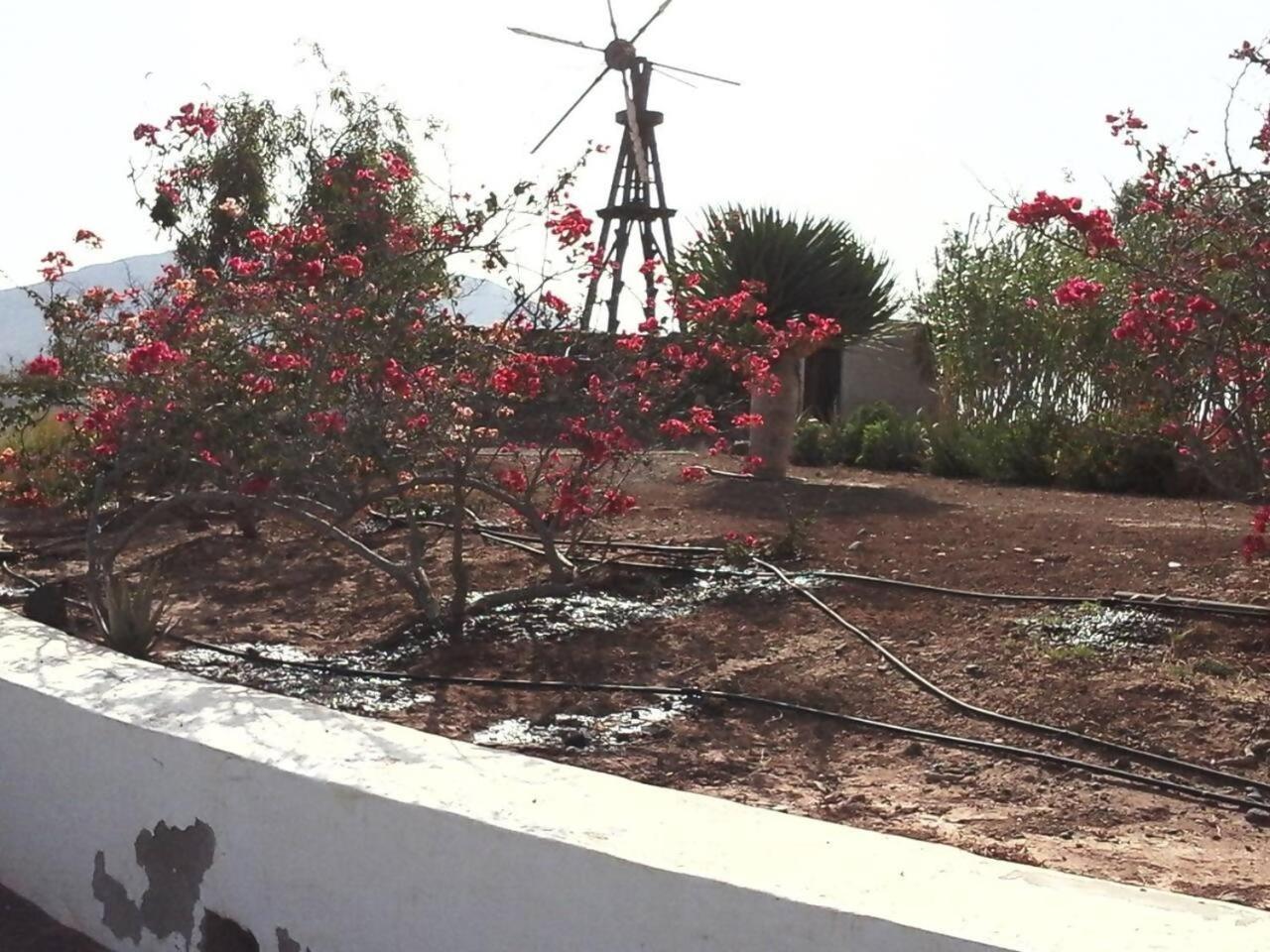 Rural Rugama Vila Puerto del Rosario  Exterior foto